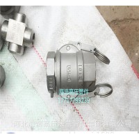專業制造      不銹鋼快速接頭       316L