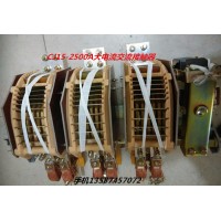 樂清新迪電氣有限公司 CJ15-3000A大電流交流接觸器 CJ15-3000