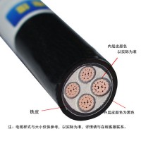 金環宇電纜 c類阻燃yjv22耐火電纜 鎧裝電纜ZCN-YJV22-4X400平方