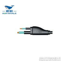 預分支電纜 電力電纜預分支 電線電纜定制批發