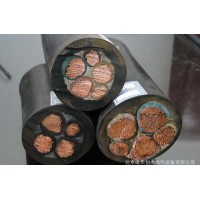 正泰CHNT電線電纜YC3*10+2*6通用橡套軟電纜 國(guó)標(biāo)電纜