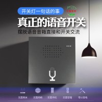 離線語音、在線語音、智能語音