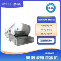 隧道式液氮速凍機速凍大蝦海鮮餃子果蔬