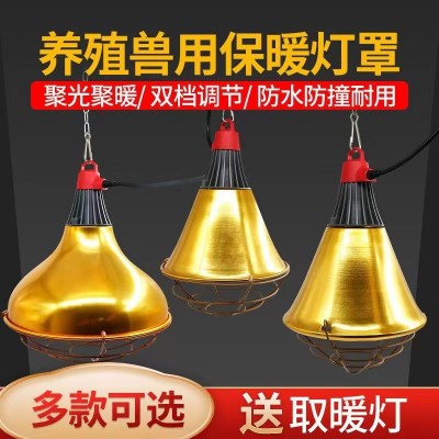 養殖保溫燈罩豬用取暖保溫燈寵物保