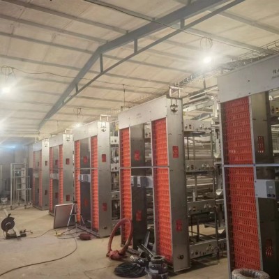 雞場用自動化撿蛋機 集蛋器節省人工