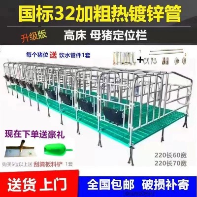 育肥豬限位欄養豬場母豬定位欄鍍鋅