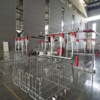 豬場用102篩盤了料線 自動化料線現代化料線