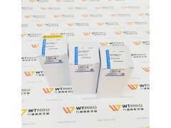 CH10.D-204V*17.KD1產(chǎn)品實拍圖