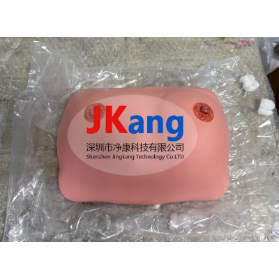 高級乳房檢查模型 乳腺視診觸診模型