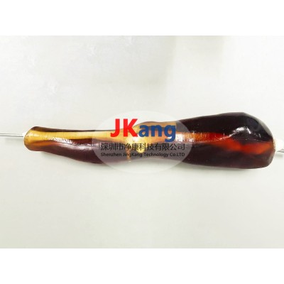 KE-A02成人膝關節模體