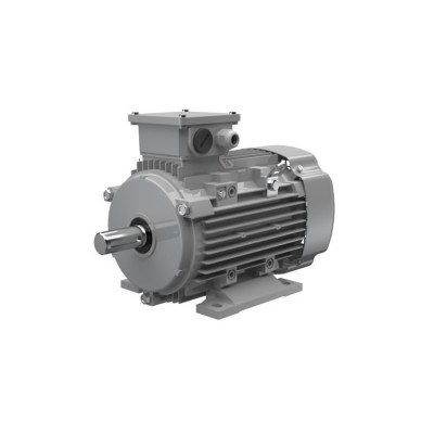 Ac-Motoren ACM 100 LA 6/PHE 異步