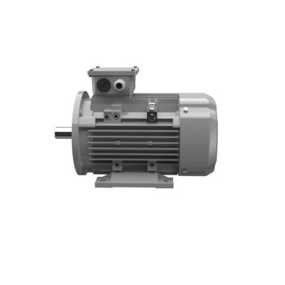 Ac-Motoren ACM 100 LB 4/PHE  異步