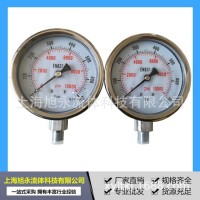 真空耐震壓力表耐壓防腐蝕液壓精密檢測壓力表