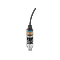 Endress+Hauser PMP21-CA1M1PFVXJ 壓力傳感器