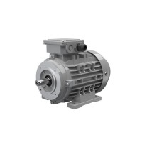 Ac-Motoren ACM 132 M 4/SPE 異步電動機