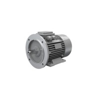 Ac-Motoren ACM 132 MB 6/PHE 異步電動機