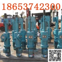 DYTZ2500-500直式電液推桿定做，防爆電機等