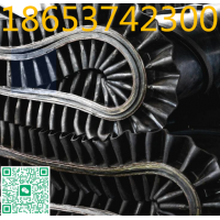 裙邊環(huán)形輸送帶 無接口運輸膠帶 B1200定制帶寬