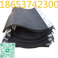 導料槽防塵簾250mm寬，5-6mm直徑厚膠條