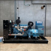 WPG250/B8濰柴原裝200千瓦發(fā)電機(jī)組備用200kw應(yīng)急備用電源